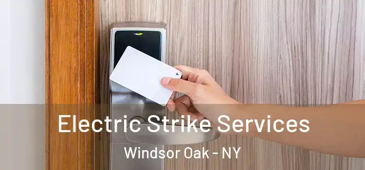  Electric Strike Services Windsor Oak - NY