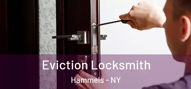  Eviction Locksmith Hammels - NY