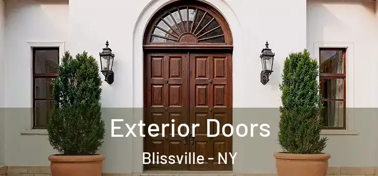 Exterior Doors Blissville - NY