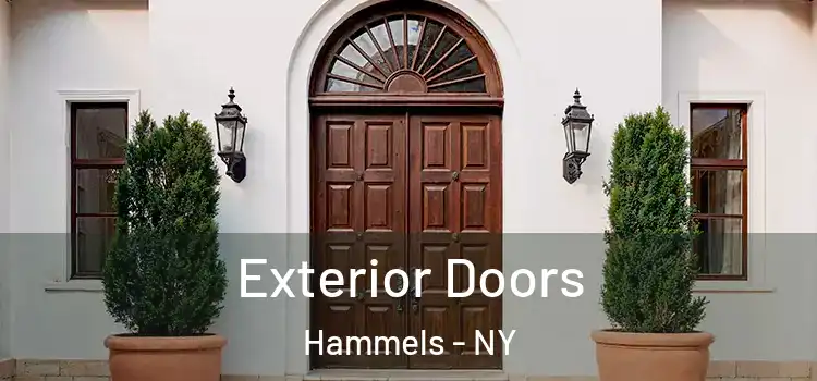  Exterior Doors Hammels - NY