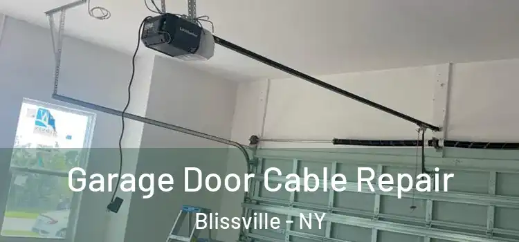  Garage Door Cable Repair Blissville - NY