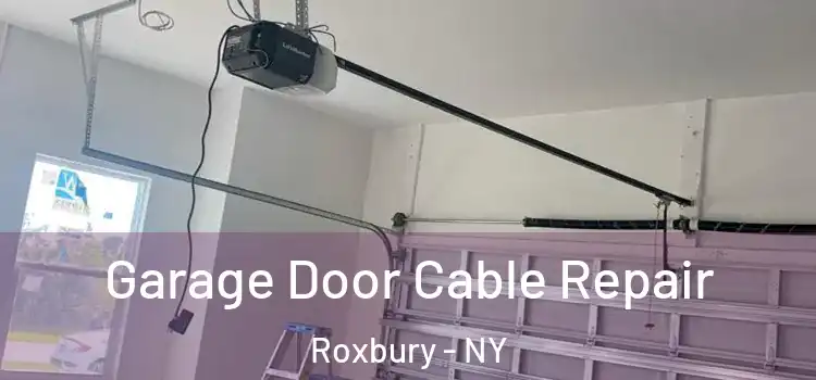  Garage Door Cable Repair Roxbury - NY