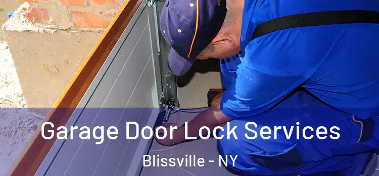 Garage Door Lock Services Blissville - NY