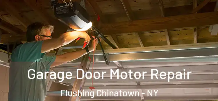  Garage Door Motor Repair Flushing Chinatown - NY