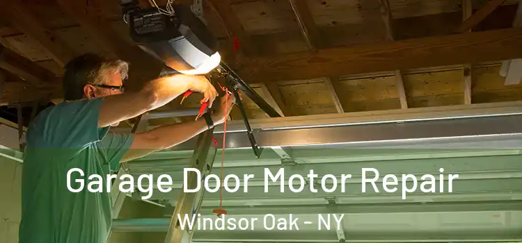  Garage Door Motor Repair Windsor Oak - NY