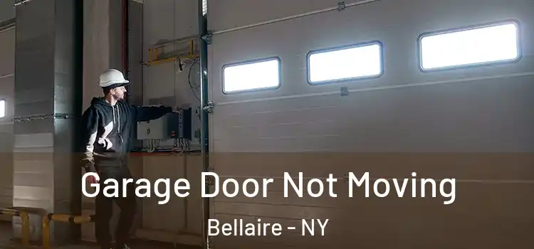  Garage Door Not Moving Bellaire - NY