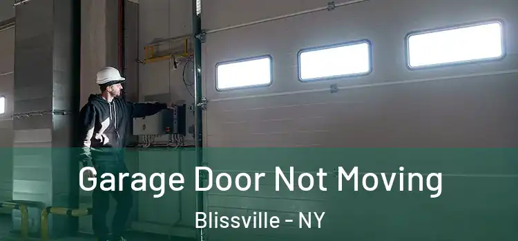  Garage Door Not Moving Blissville - NY