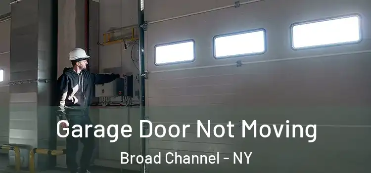  Garage Door Not Moving Broad Channel - NY