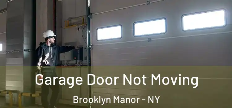  Garage Door Not Moving Brooklyn Manor - NY