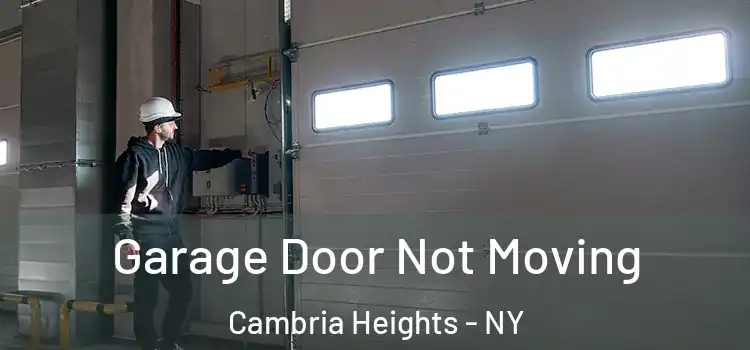  Garage Door Not Moving Cambria Heights - NY