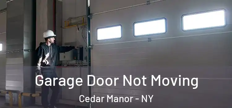  Garage Door Not Moving Cedar Manor - NY