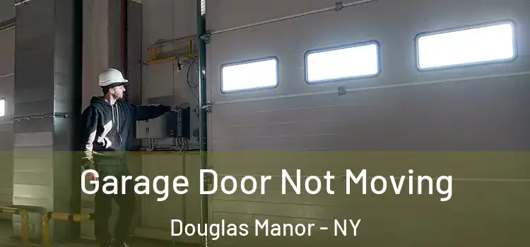  Garage Door Not Moving Douglas Manor - NY
