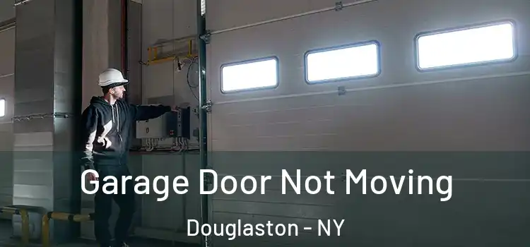  Garage Door Not Moving Douglaston - NY