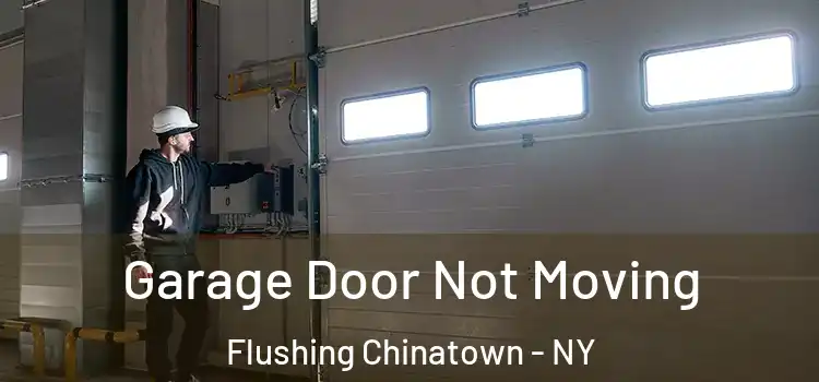  Garage Door Not Moving Flushing Chinatown - NY