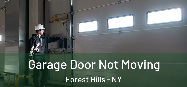  Garage Door Not Moving Forest Hills - NY