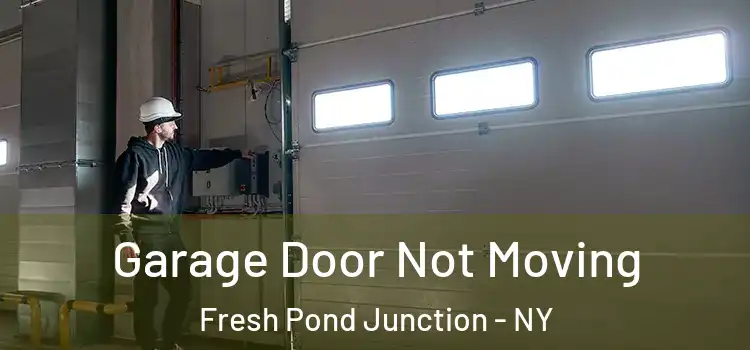  Garage Door Not Moving Fresh Pond Junction - NY