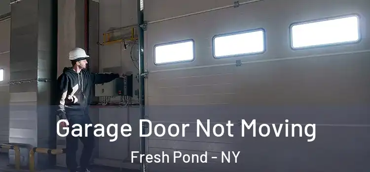  Garage Door Not Moving Fresh Pond - NY