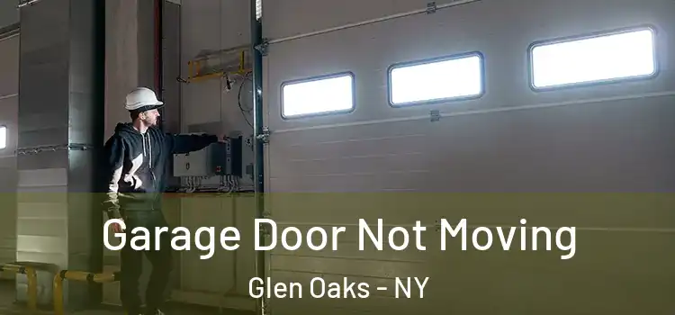  Garage Door Not Moving Glen Oaks - NY