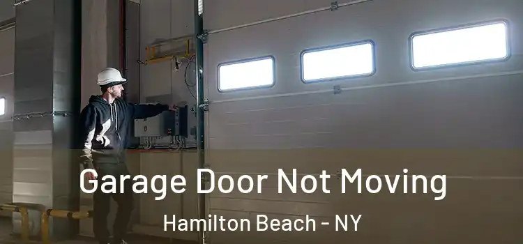  Garage Door Not Moving Hamilton Beach - NY