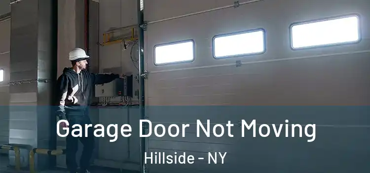  Garage Door Not Moving Hillside - NY
