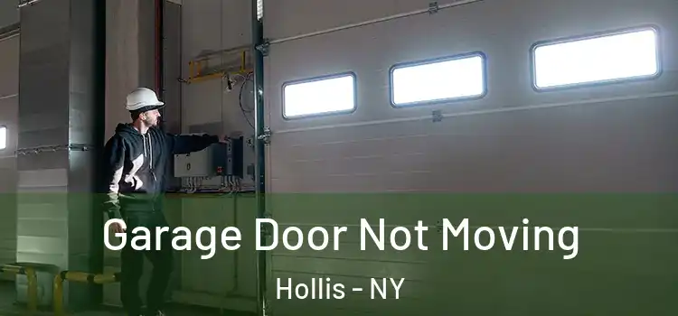  Garage Door Not Moving Hollis - NY