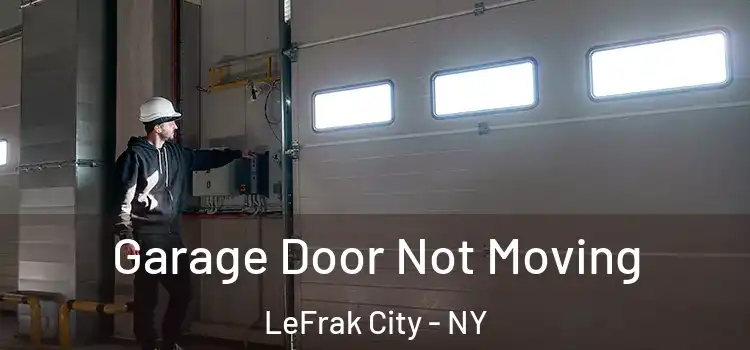 Garage Door Not Moving LeFrak City - NY