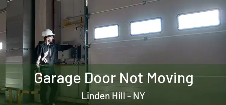  Garage Door Not Moving Linden Hill - NY