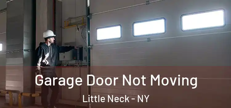  Garage Door Not Moving Little Neck - NY