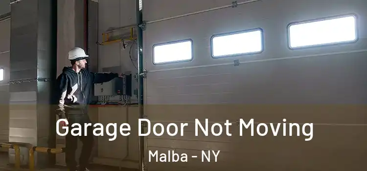  Garage Door Not Moving Malba - NY
