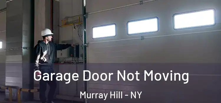  Garage Door Not Moving Murray Hill - NY