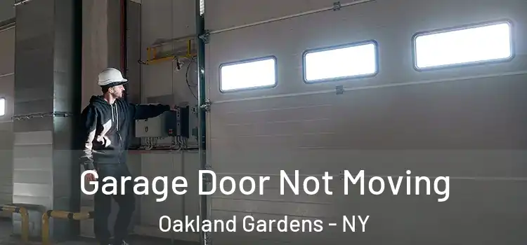  Garage Door Not Moving Oakland Gardens - NY