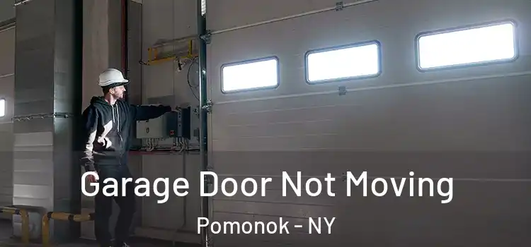  Garage Door Not Moving Pomonok - NY