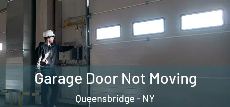  Garage Door Not Moving Queensbridge - NY