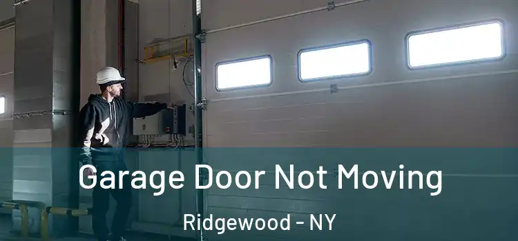  Garage Door Not Moving Ridgewood - NY