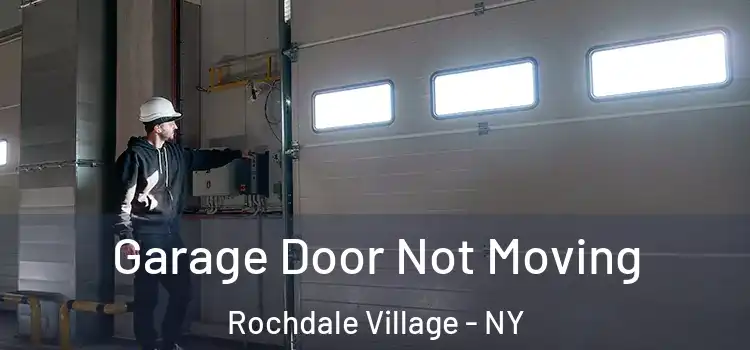  Garage Door Not Moving Rochdale Village - NY