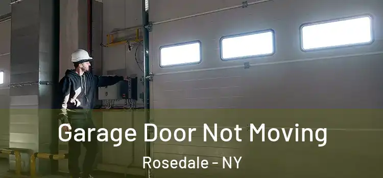  Garage Door Not Moving Rosedale - NY