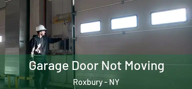  Garage Door Not Moving Roxbury - NY