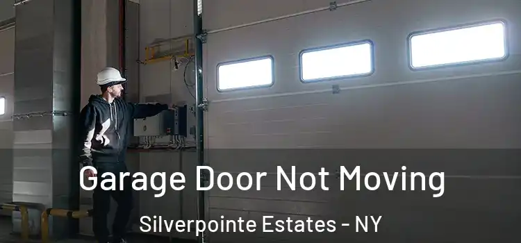  Garage Door Not Moving Silverpointe Estates - NY