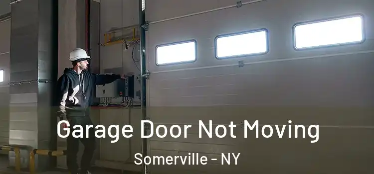  Garage Door Not Moving Somerville - NY