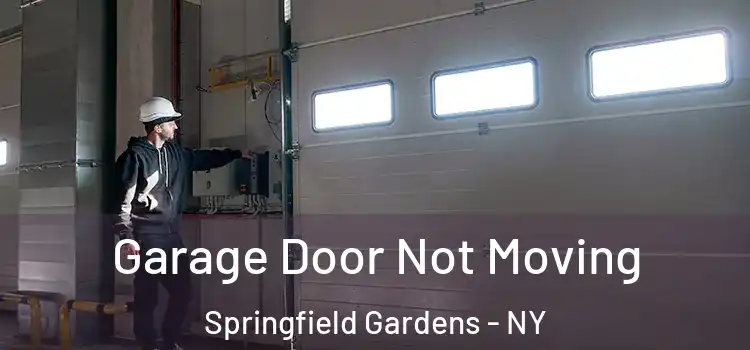  Garage Door Not Moving Springfield Gardens - NY