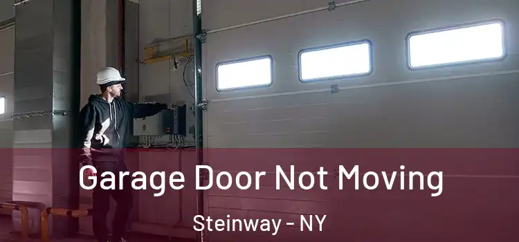  Garage Door Not Moving Steinway - NY