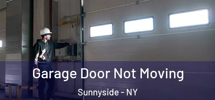  Garage Door Not Moving Sunnyside - NY
