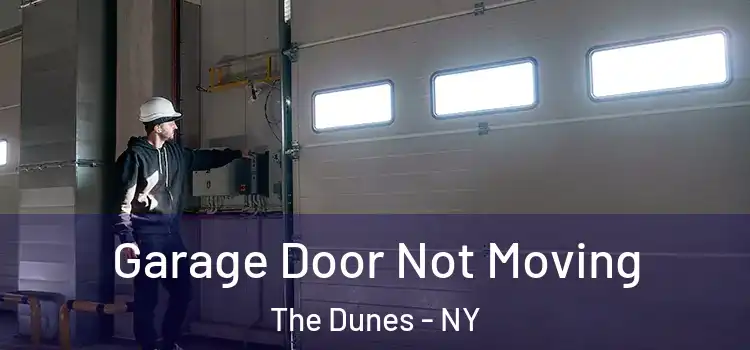  Garage Door Not Moving The Dunes - NY