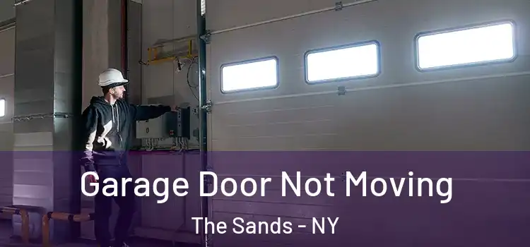  Garage Door Not Moving The Sands - NY