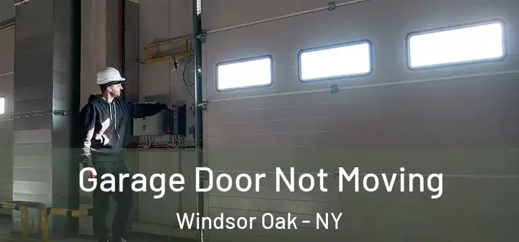  Garage Door Not Moving Windsor Oak - NY