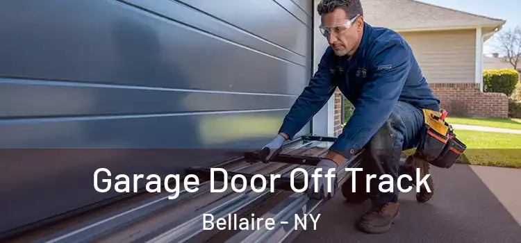  Garage Door Off Track Bellaire - NY