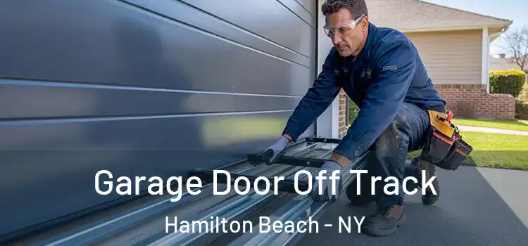  Garage Door Off Track Hamilton Beach - NY