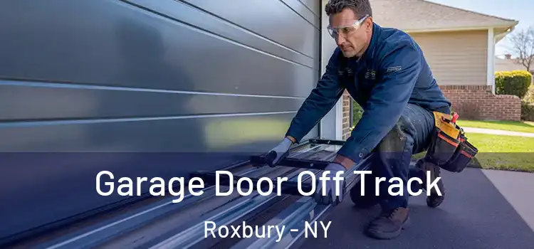  Garage Door Off Track Roxbury - NY