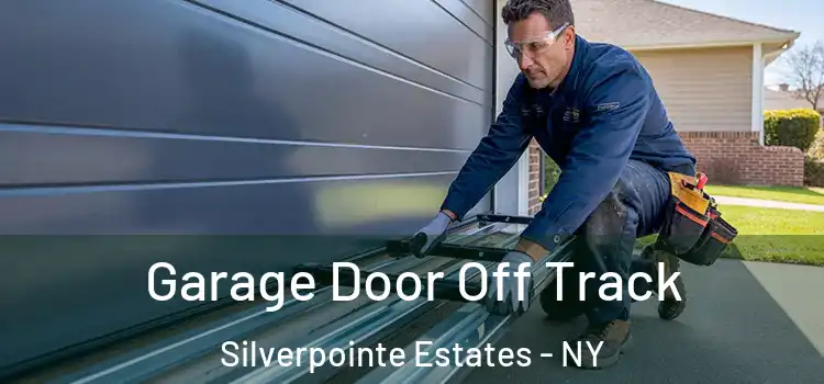  Garage Door Off Track Silverpointe Estates - NY