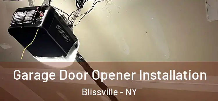  Garage Door Opener Installation Blissville - NY